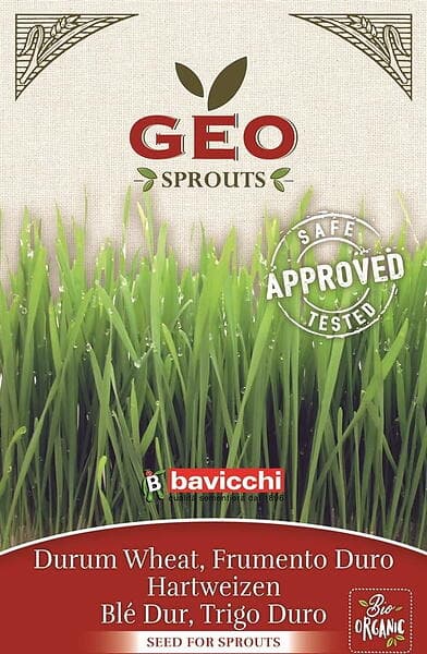 Bavicchi Geo Vetegräsfrö Organic Sprouting EKO Durum Wheat Seeds 80g