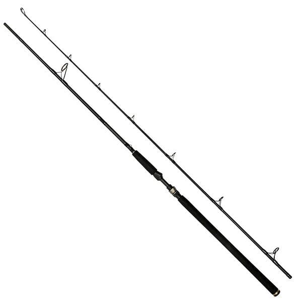 Westin Fishing W3 Powercast 2nd 8'3'' XH 20-80g