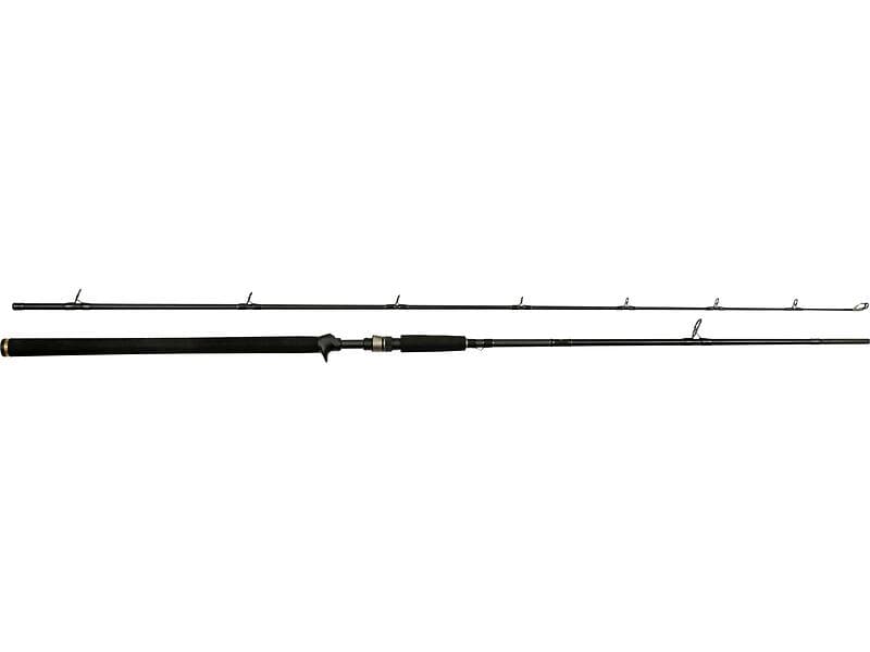 Westin Fishing W3 Powercast-T 2nd 8'3'' XXH 40-130g