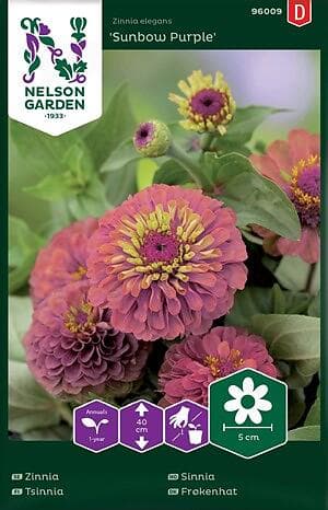 Nelson Garden Zinnia Sunbow Purple