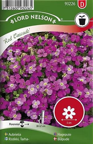 Nelson Garden Aubrietia 'Red Cascade' frö