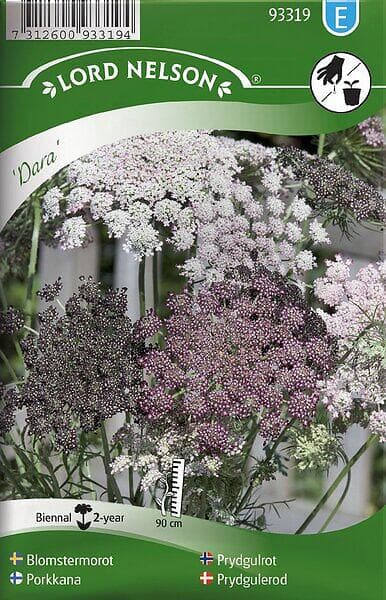 Nelson Garden Blomstermorot 'Dara' frö