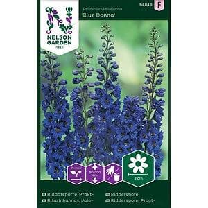 Nelson Garden Riddarsporre Lord Prakt-Blue Donna