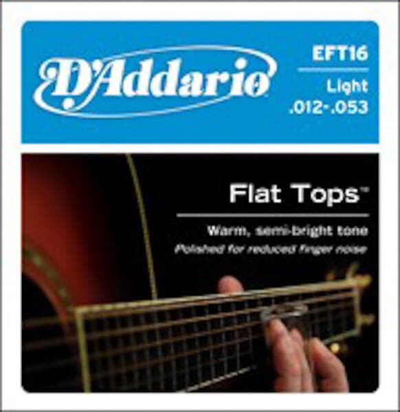 D'Addario EFT16