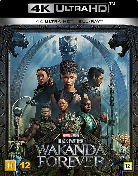 Black Panther - Wakanda Forever (4K UHD+BD)