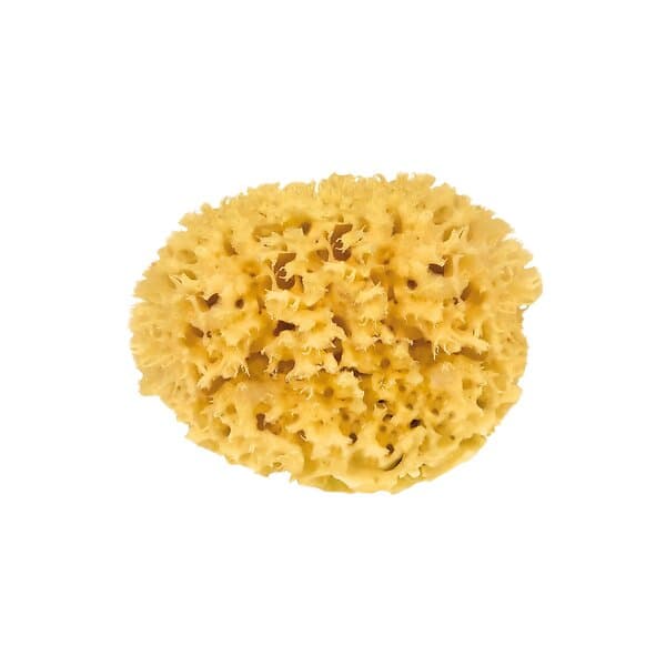 Croll & Denecke Natural Bath Sponge