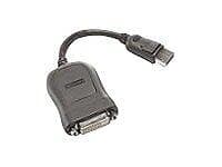 Lenovo DisplayPort - DVI-D M-F Adapter