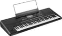Korg Pa300