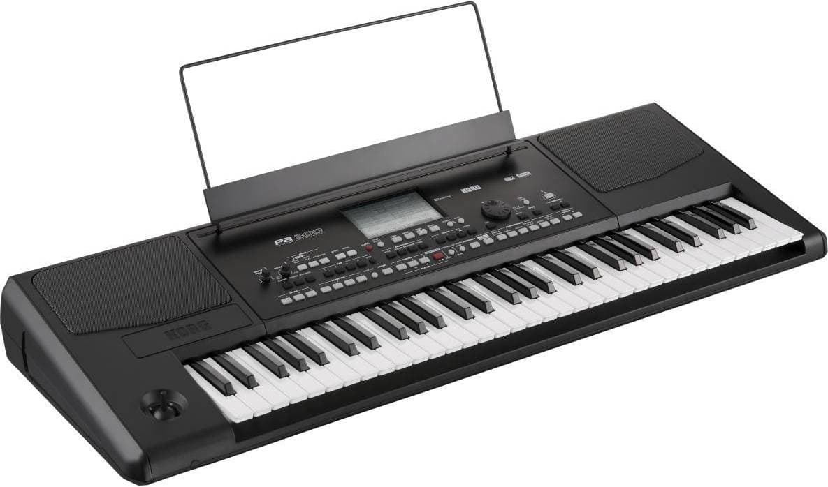 Korg Pa300