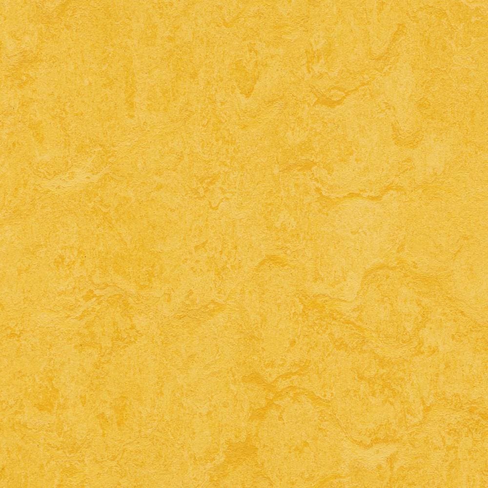 Forbo Marmoleum Click 333251