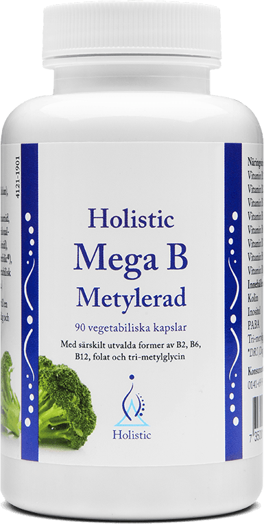Holistic Mega B Metylerad 90 st