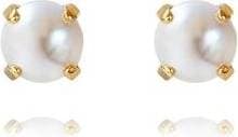 Caroline Svedbom Classic Earrings - Gold/Pearl