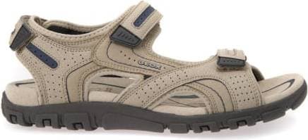 Geox Strada - Sand/Navy