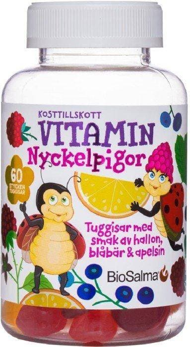 BioSalma Nyckelpiga Multivitamin 60 st