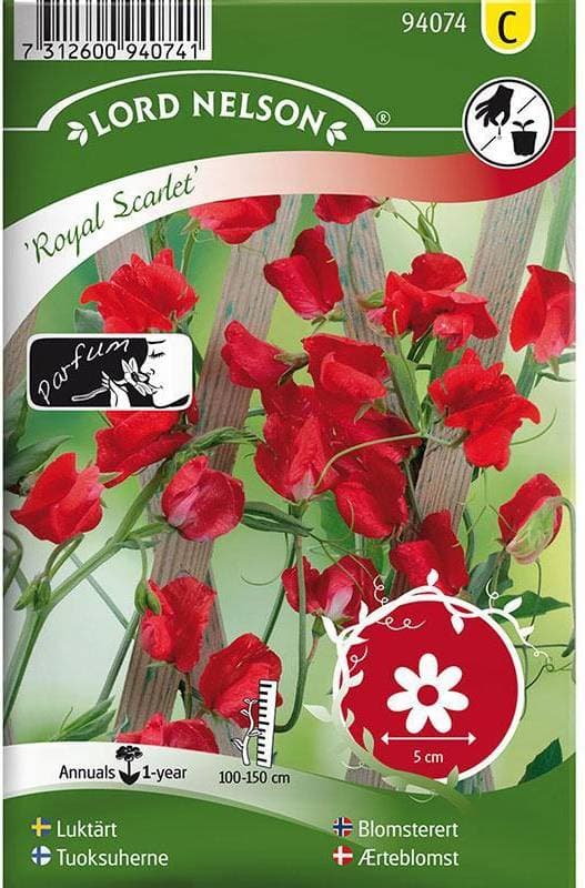 Nelson Garden Luktärt 'Royal Scarlet' frö