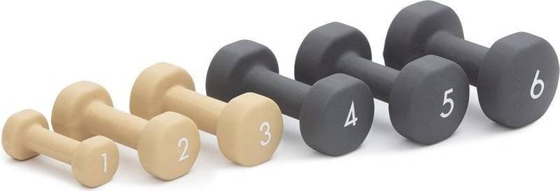 Abilica DumbBell 8kg