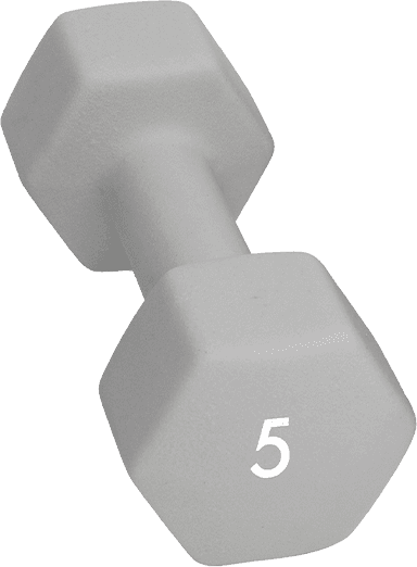Abilica Hex Neoprene DumbBell 5kg