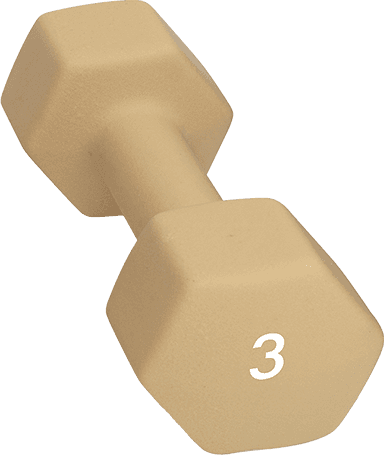Abilica Dumbbell 3 kg