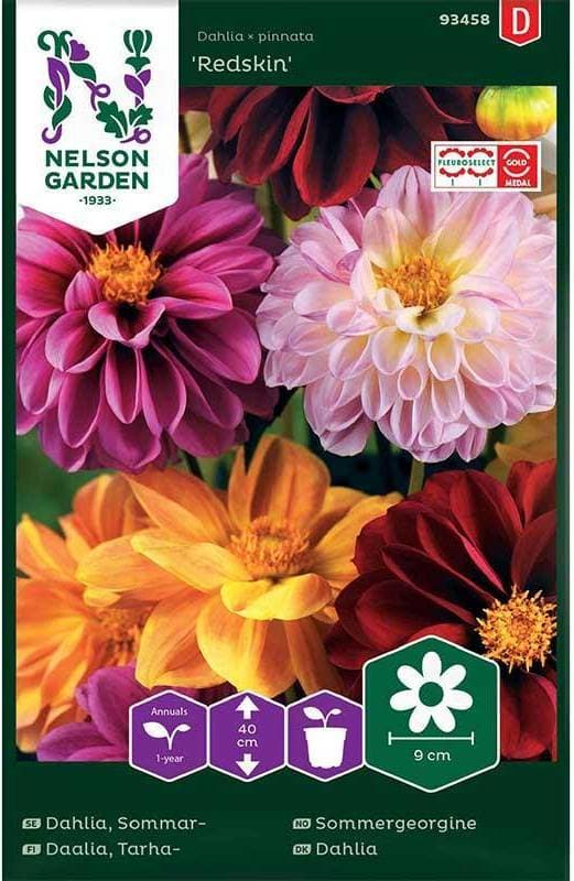 Nelson Garden Sommardahlia 'Redskin', mix