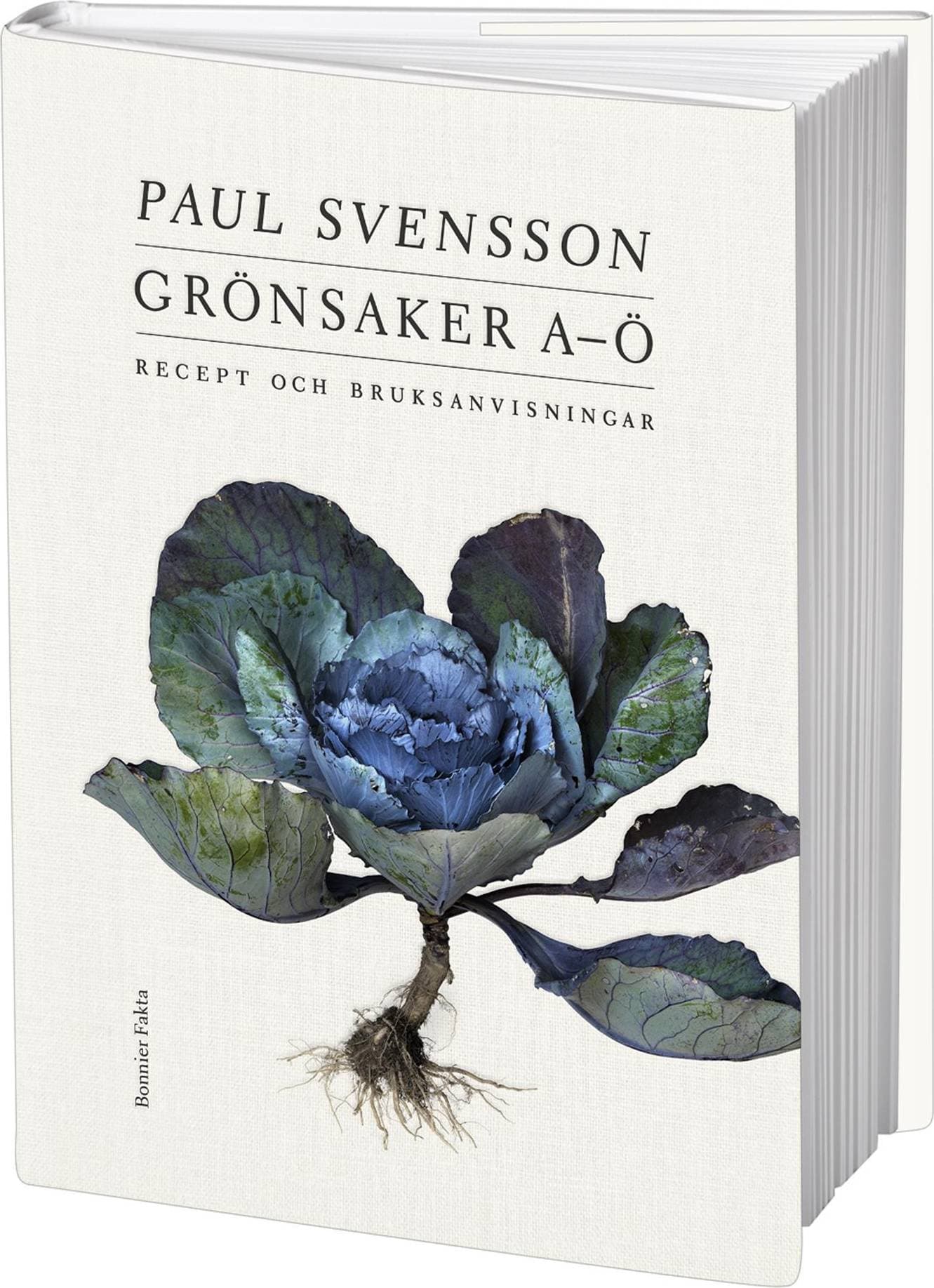Grönsaker A-Ö : recept och bruksanvisning (Inbunden, 2020)