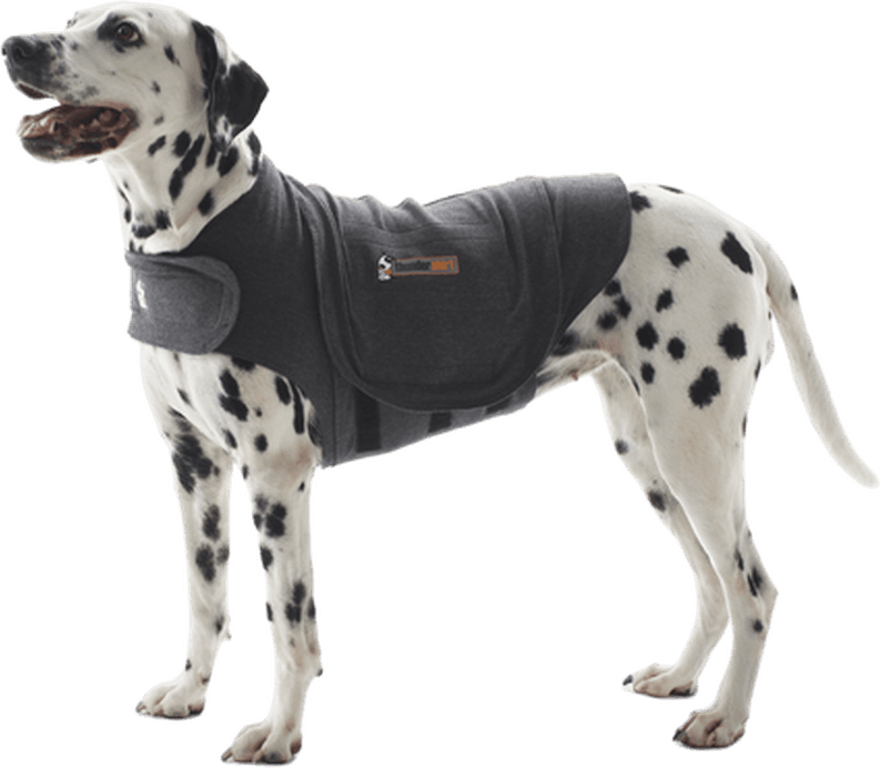 Thundershirt Safety Vest M