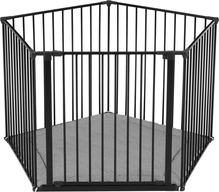 BabyDan Flex Park A Kid Black
