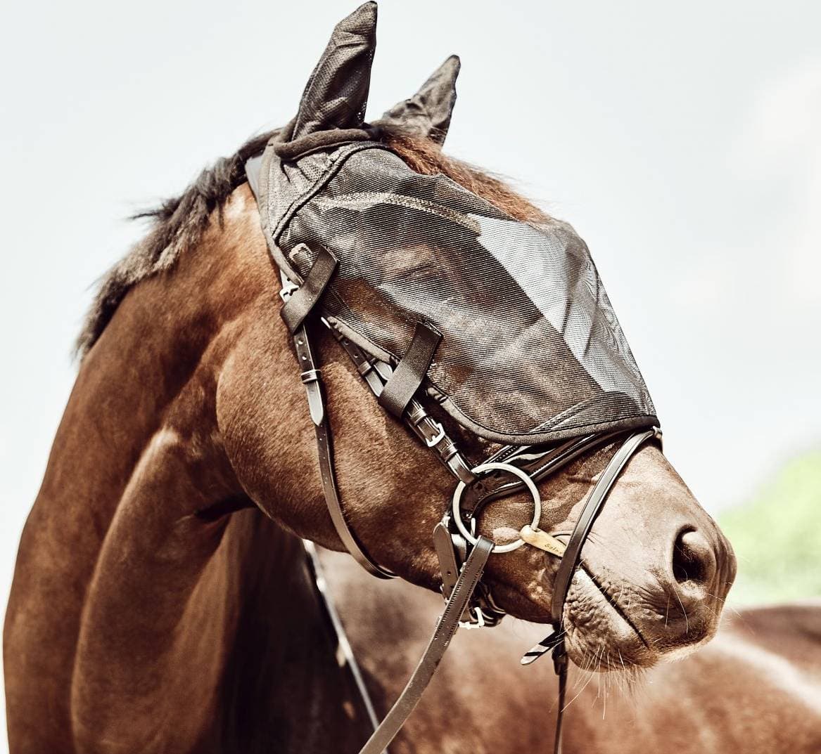 Horse Guard Flughuva till träns Eldorado