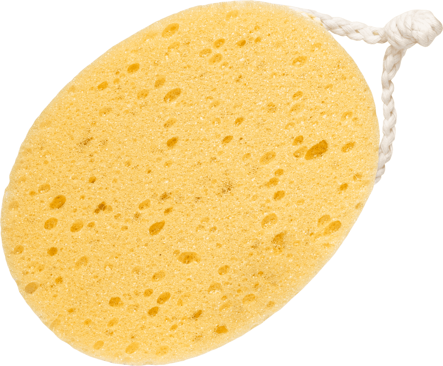 The Lab Bodylab Badsvamp 1 st