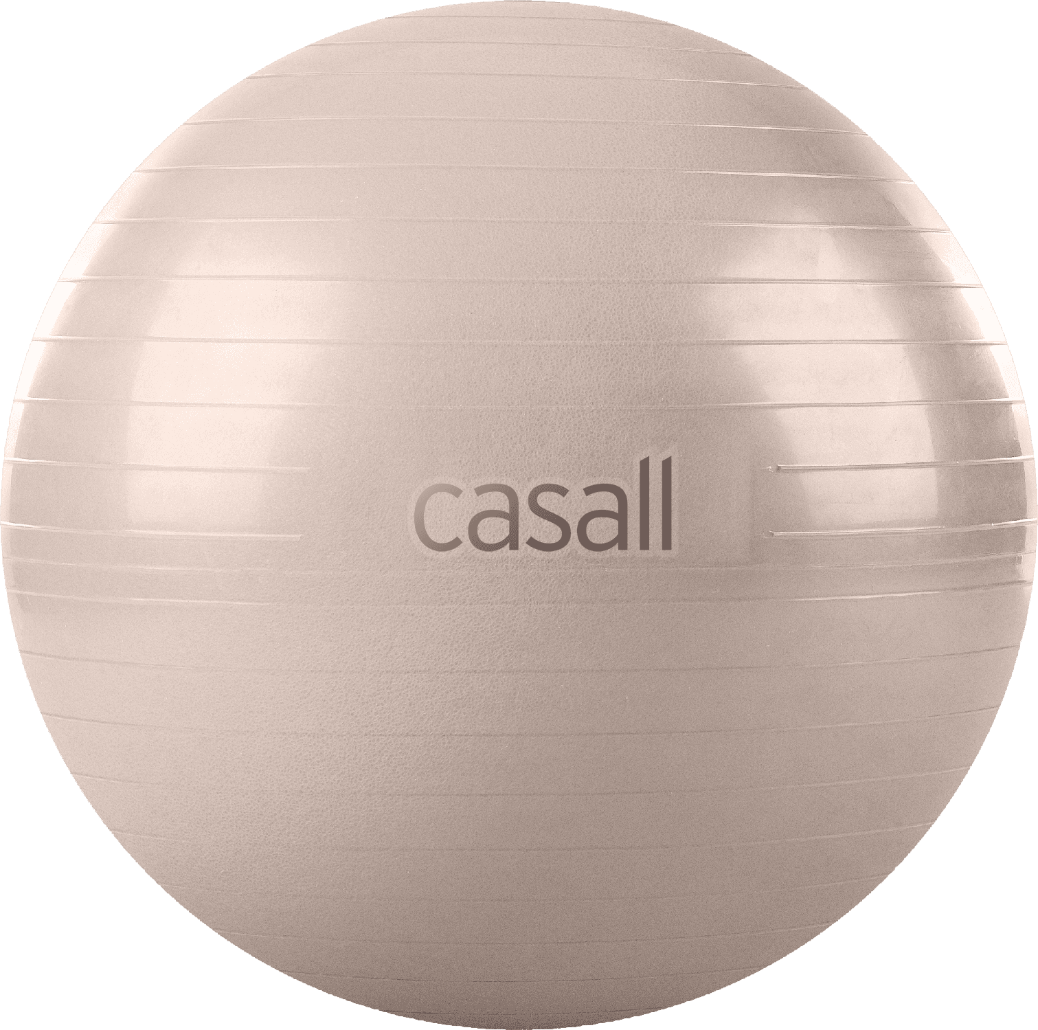 Casall Exercise Ball 60-65cm Light Cashmere