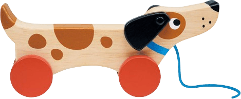Mentari Puppy on Wheels