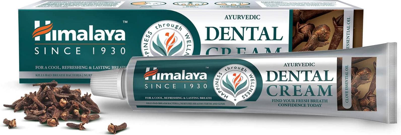 Himalaya Ayurvedic Dental Cream Herbal Clove 100g