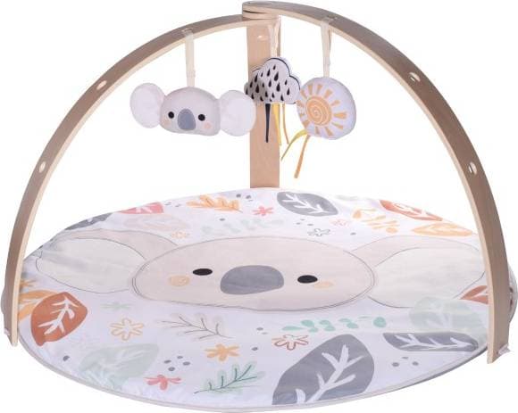 Babygym I Trä